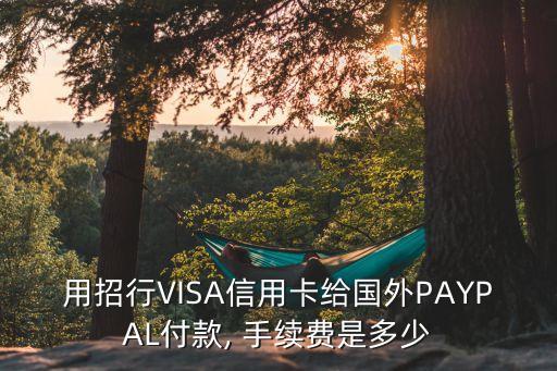 visa卡境外刷卡手續(xù)費多少錢,境外用visa卡有手續(xù)費嗎