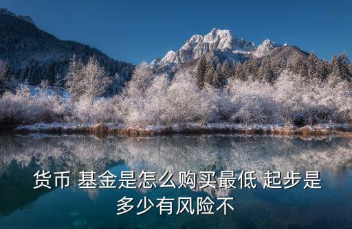  貨幣 基金是怎么購(gòu)買最低 起步是多少有風(fēng)險(xiǎn)不