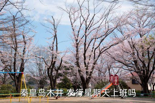 秦皇島農(nóng)行電話是多少時(shí)間,農(nóng)行秦皇島分行電話