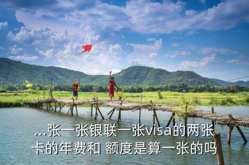 ...張一張銀聯(lián)一張visa的兩張卡的年費和 額度是算一張的嗎