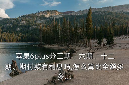 蘋果6分12期多少錢?,蘋果12英寸是多少寸