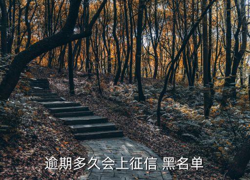 逾期多久會上征信 黑名單