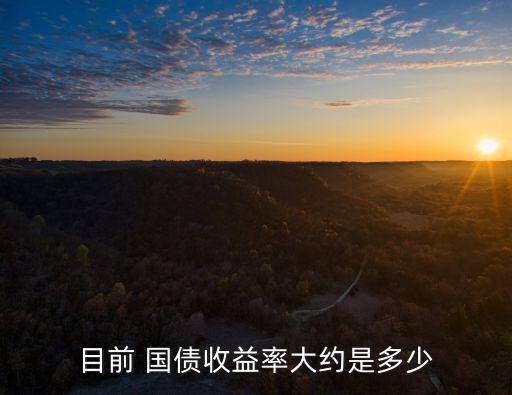 目前 國債收益率大約是多少