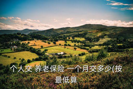 個人交 養(yǎng)老保險 一個月交多少(按最低算