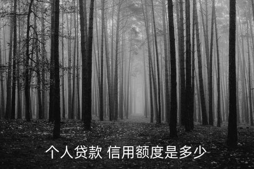 個人貸款 信用額度是多少