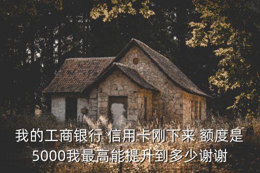 剛辦的信用卡可以提高多少額度