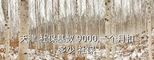 天津 社保基數(shù) 9000,一個(gè)月扣多少 社保
