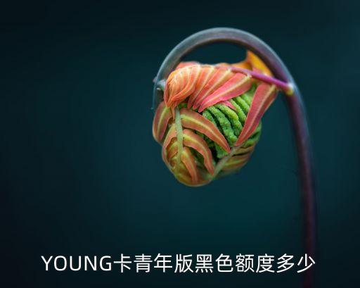 招商銀行young卡每日上限多少
