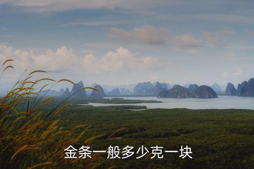  金條一般多少克一塊