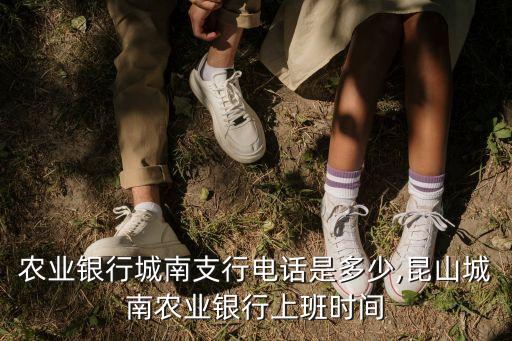 昆山農(nóng)業(yè)銀行城南支行電話是多少,昆山城南農(nóng)業(yè)銀行上班時(shí)間