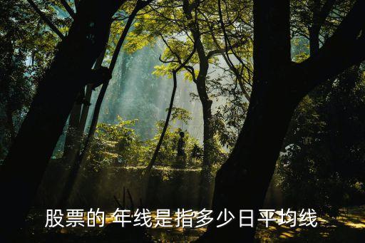 股票的 年線是指多少日平均線