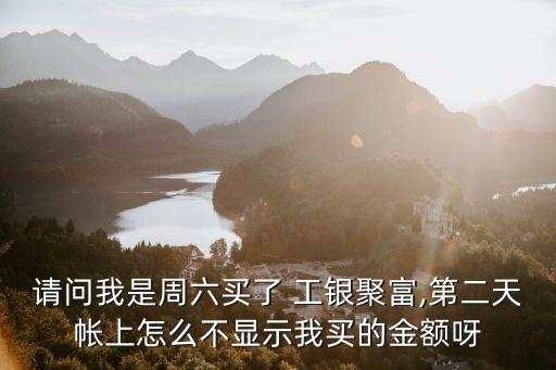 請(qǐng)問(wèn)我是周六買了 工銀聚富,第二天帳上怎么不顯示我買的金額呀