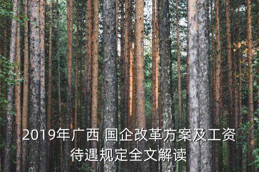 2019年廣西 國企改革方案及工資待遇規(guī)定全文解讀