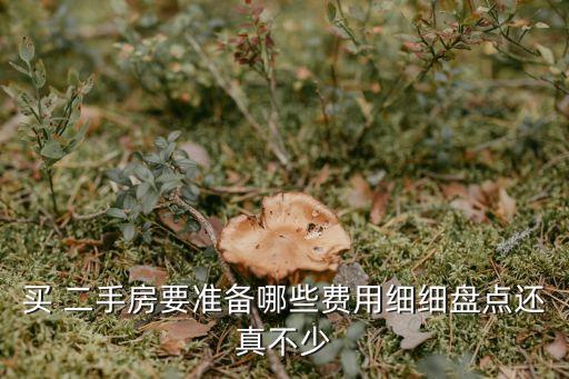 240萬(wàn)二手房貸款多少錢(qián),50萬(wàn)的二手房可以貸款多少