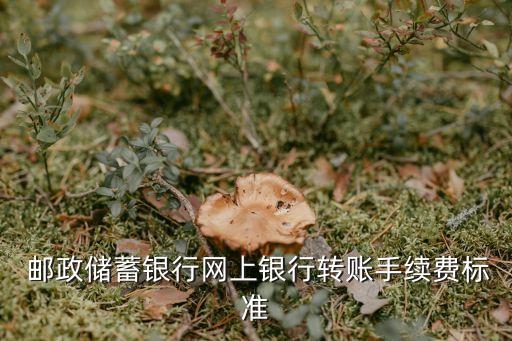  郵政儲蓄銀行網(wǎng)上銀行轉(zhuǎn)賬手續(xù)費(fèi)標(biāo)準(zhǔn)