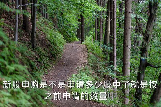 股票最多中簽多少股,上海股票中簽一般多少股