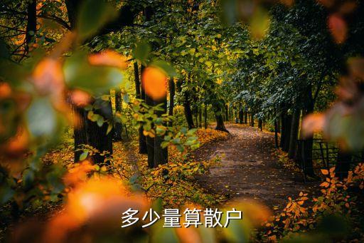炒股股票市值80萬是多少,股票炒股