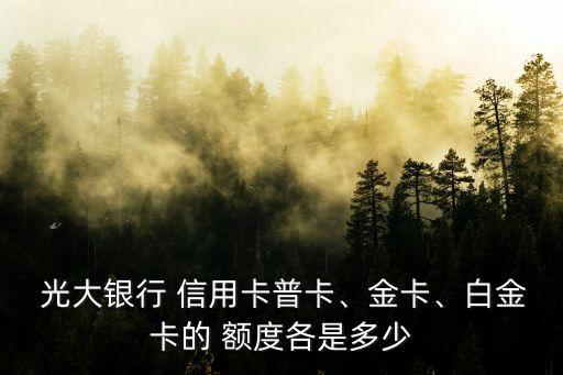 光大精英信用卡額度是多少,光大信用卡超限額度怎么開通