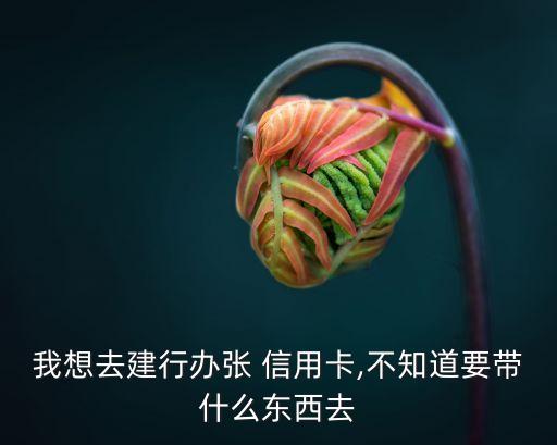 我想去建行辦張 信用卡,不知道要帶什么東西去