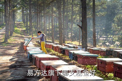 易方達(dá)價(jià)值精選凈值多少