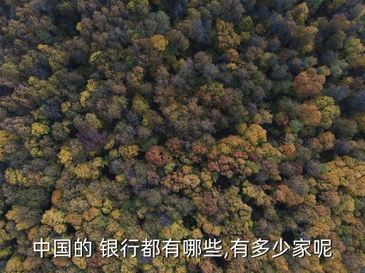 中國(guó)的 銀行都有哪些,有多少家呢