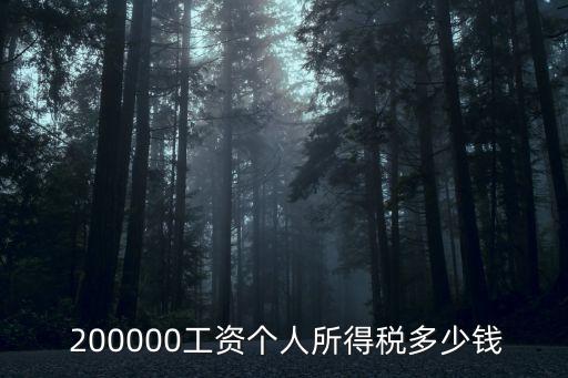 年薪200萬(wàn)個(gè)稅多少錢,16萬(wàn)年薪稅后多少