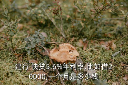 建行 快貸5.6%年利率,比如借20000,一個月是多少錢