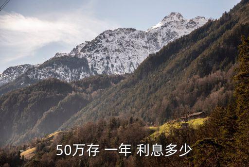 50萬(wàn)存 一年 利息多少