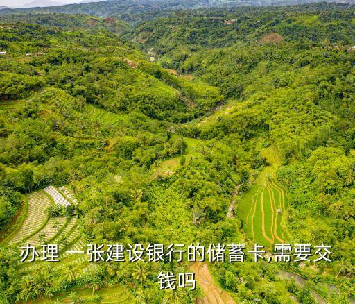 辦一張建設(shè)銀行卡多少錢,辦建設(shè)銀行卡需要什么證件