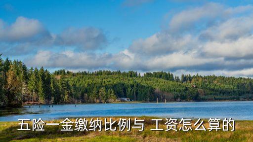 五險一金繳納比例與 工資怎么算的