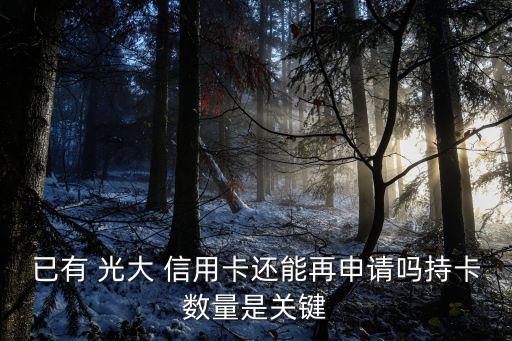 光大信用卡 補卡多少錢