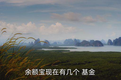 余額寶現(xiàn)在有幾個 基金