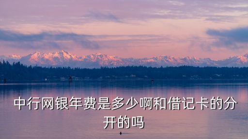 中行辦網(wǎng)銀多少錢,中行多少錢可以辦vip