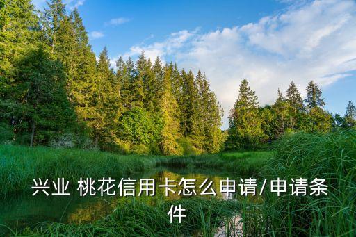  興業(yè) 桃花信用卡怎么申請(qǐng)/申請(qǐng)條件
