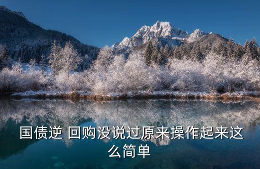  國債逆 回購沒說過原來操作起來這么簡單