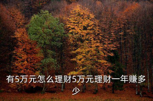 有5萬(wàn)元怎么理財(cái)5萬(wàn)元理財(cái)一年賺多少
