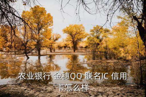 金穗qq聯(lián)名ic信用卡額度多少,農(nóng)行金穗QQ聯(lián)名IC信用卡