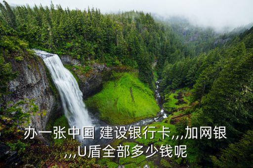 辦一張中國(guó) 建設(shè)銀行卡,,,加網(wǎng)銀,,,U盾全部多少錢(qián)呢