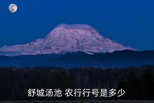 舒城湯池 農(nóng)行行號是多少