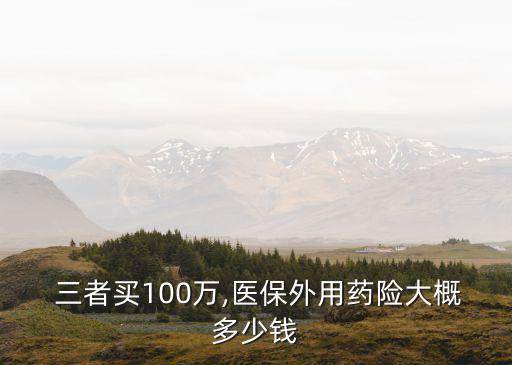  三者買100萬(wàn),醫(yī)保外用藥險(xiǎn)大概多少錢