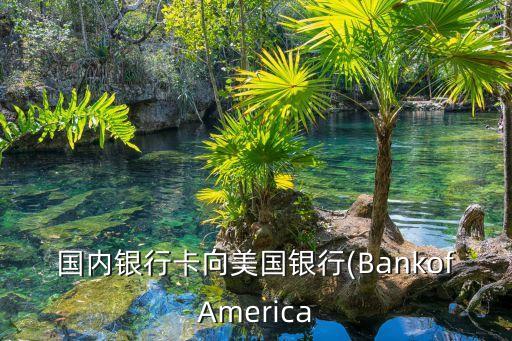 招行美元行內(nèi)轉(zhuǎn)賬手續(xù)費是多少