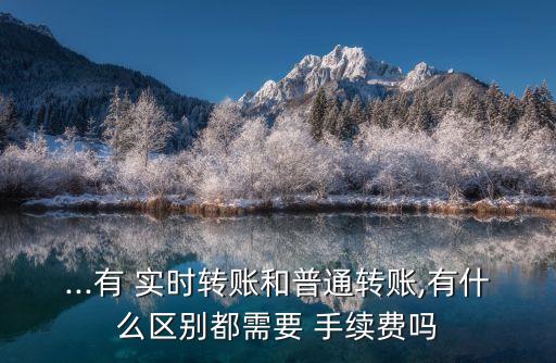 ...有 實時轉賬和普通轉賬,有什么區(qū)別都需要 手續(xù)費嗎