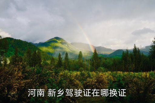 河南 新鄉(xiāng)駕駛證在哪換證