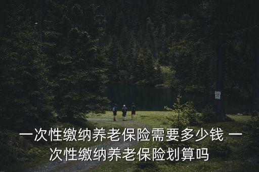 養(yǎng)老金一次性補繳15年多少錢