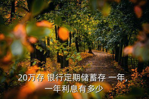 20萬存 銀行定期儲(chǔ)蓄存 一年, 一年利息有多少