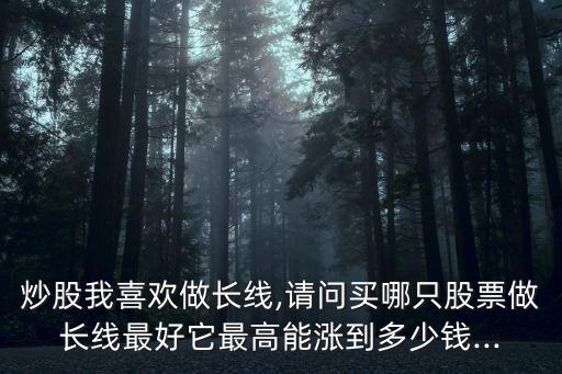 白馬股能漲多少
