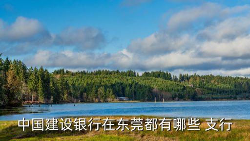 中國建設(shè)銀行在東莞都有哪些 支行