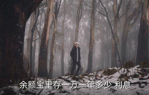 余額寶現(xiàn)在利息多少錢,1500在余額寶有多少利息