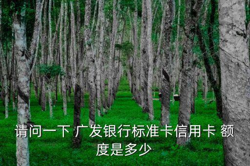 請問一下 廣發(fā)銀行標(biāo)準(zhǔn)卡信用卡 額度是多少