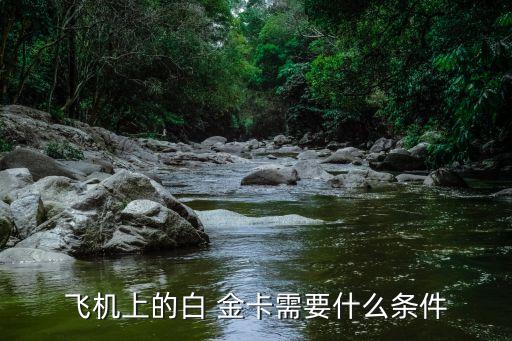 飛機(jī)上的白 金卡需要什么條件
